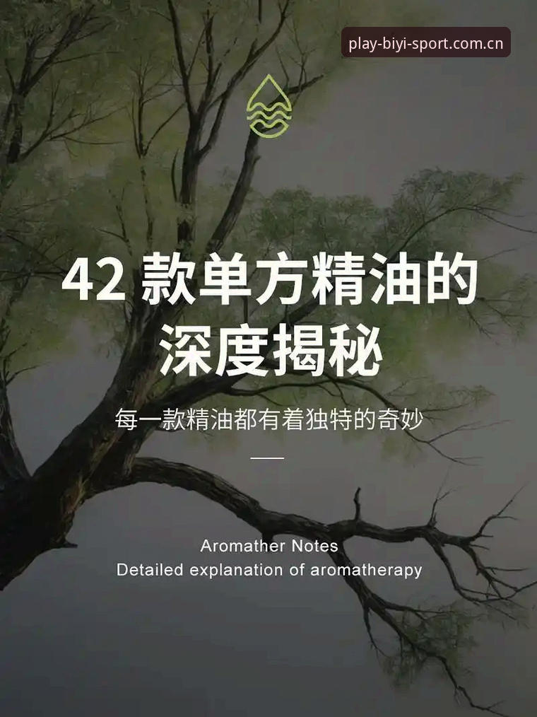 深度揭秘必一体育苹果下载手机版背后的高效竞技体验